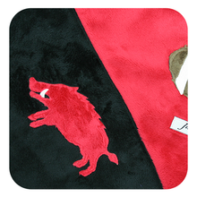 Load image into Gallery viewer, Razorback & Football Minky Blanket