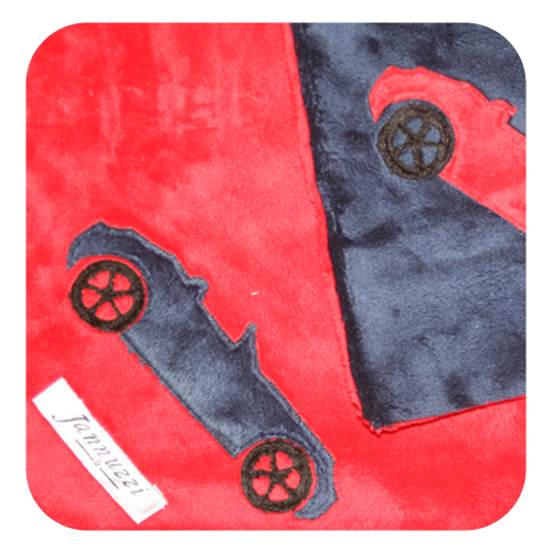 Convertible Car Minky Blanket