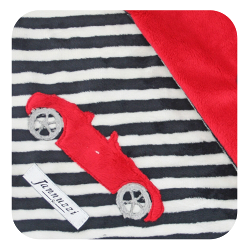 Convertible Car Minky Blanket