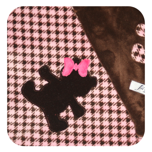 Teddy Bear Baby Girl Minky Blanket