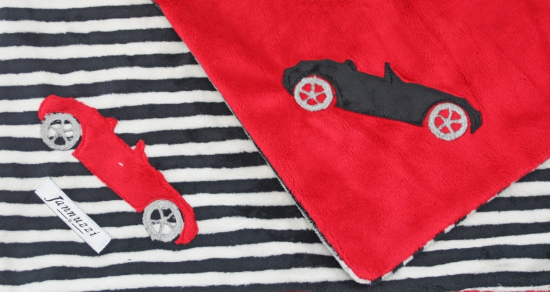 Convertible Car Minky Blanket